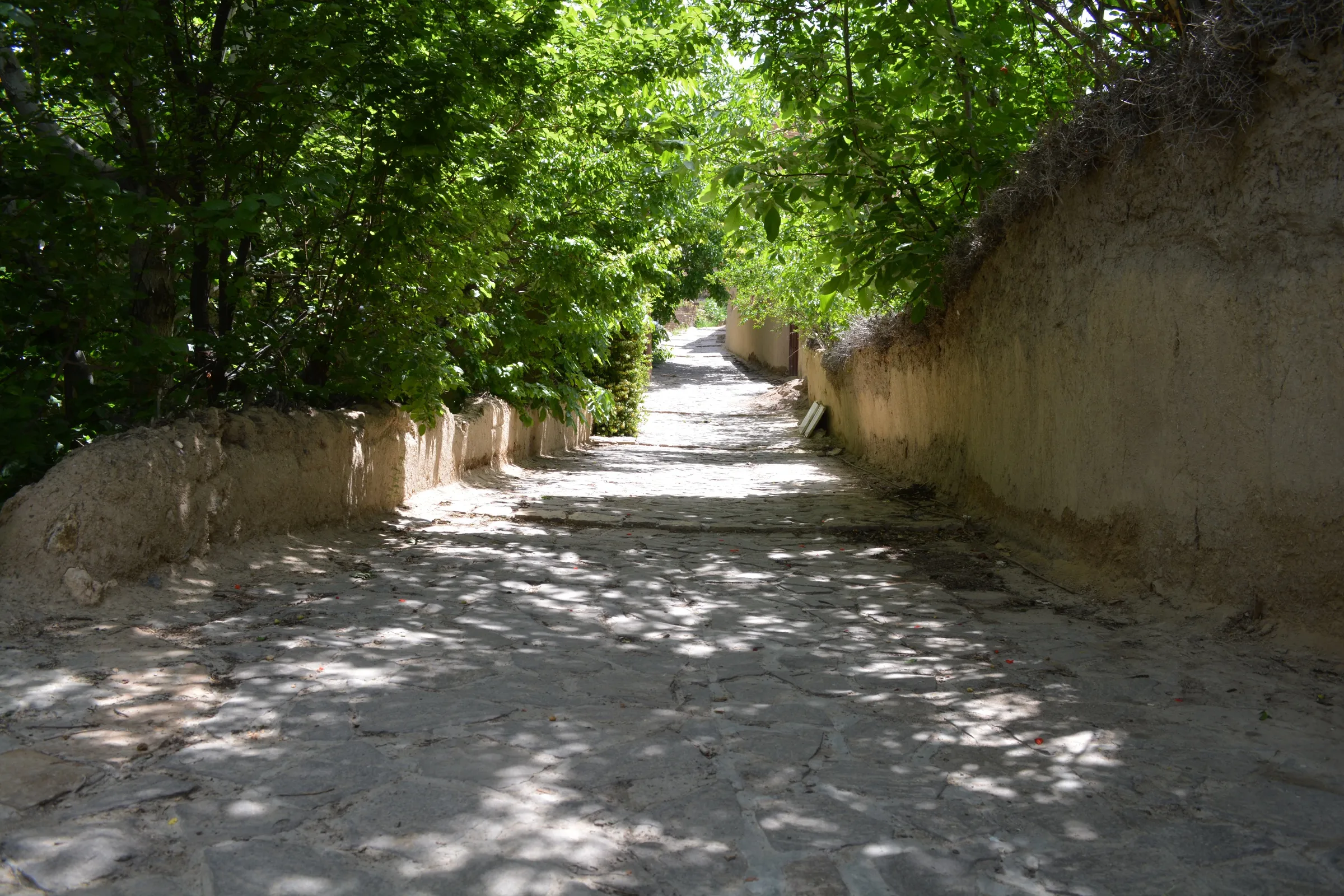 Kucheh Bagh Eco-lodge