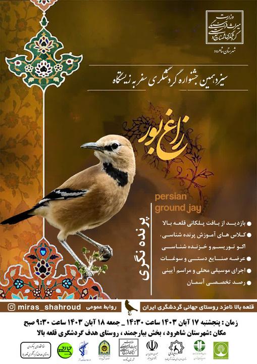 سیزدهمین جشنواره گردشگری سفر به زیستگاه زاغ بور برگزار میشود
