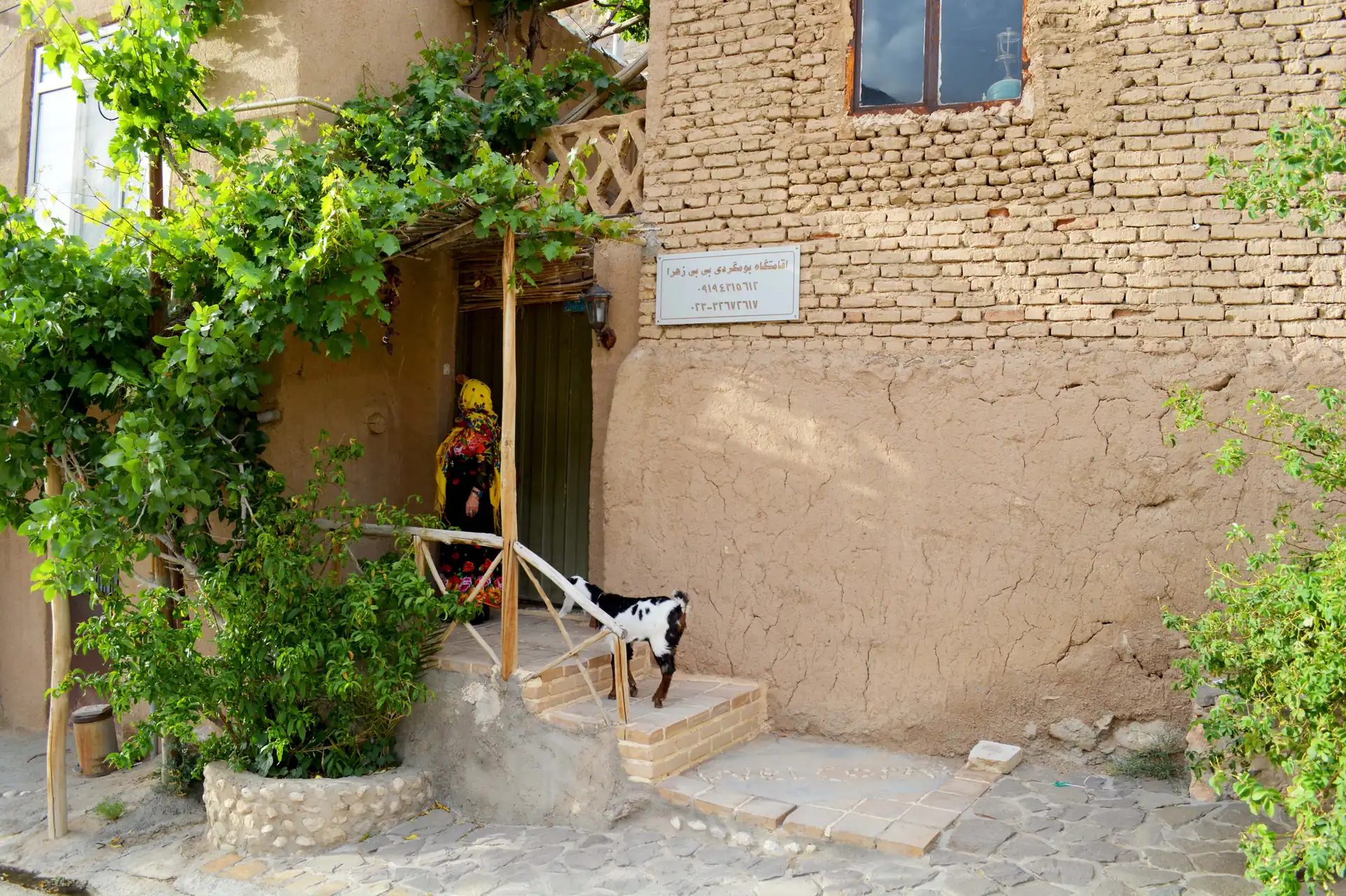 اقامتگاه — 38