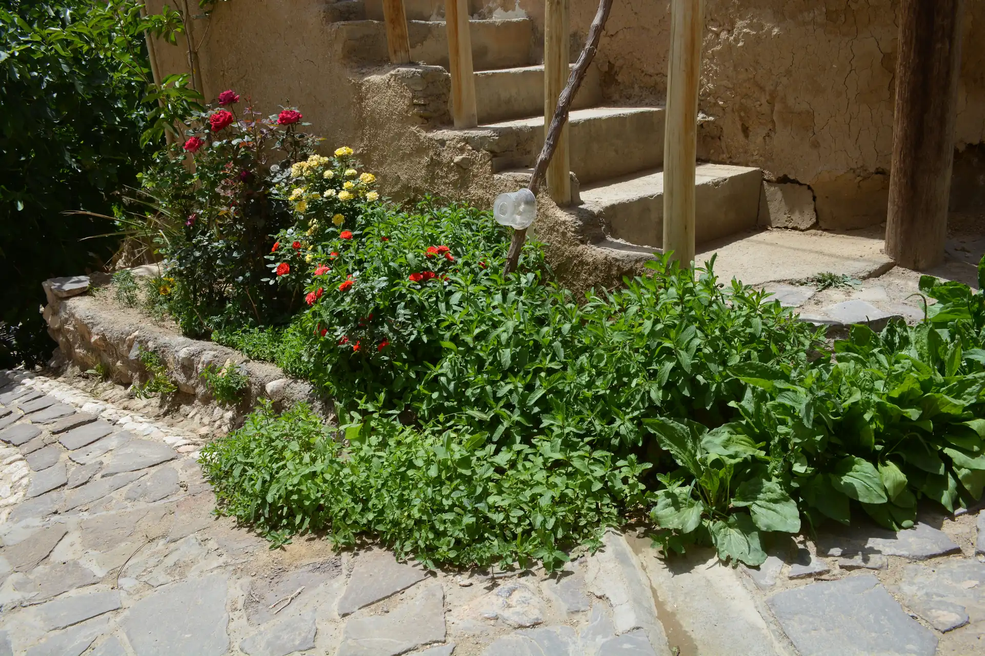 اقامتگاه — 78