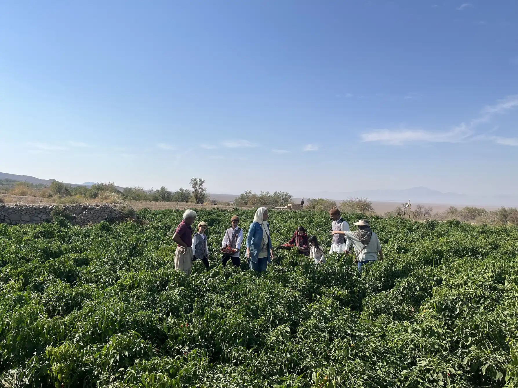 کوچه باغ — 4