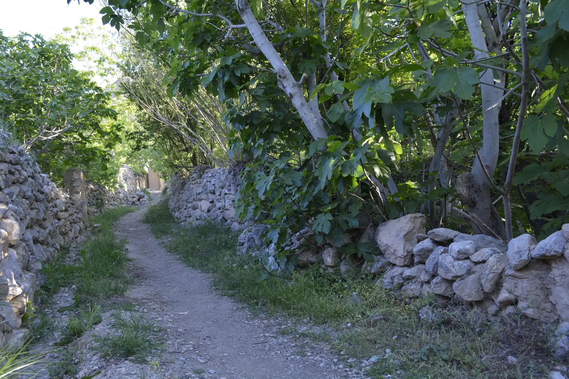 کوچه باغ — 10