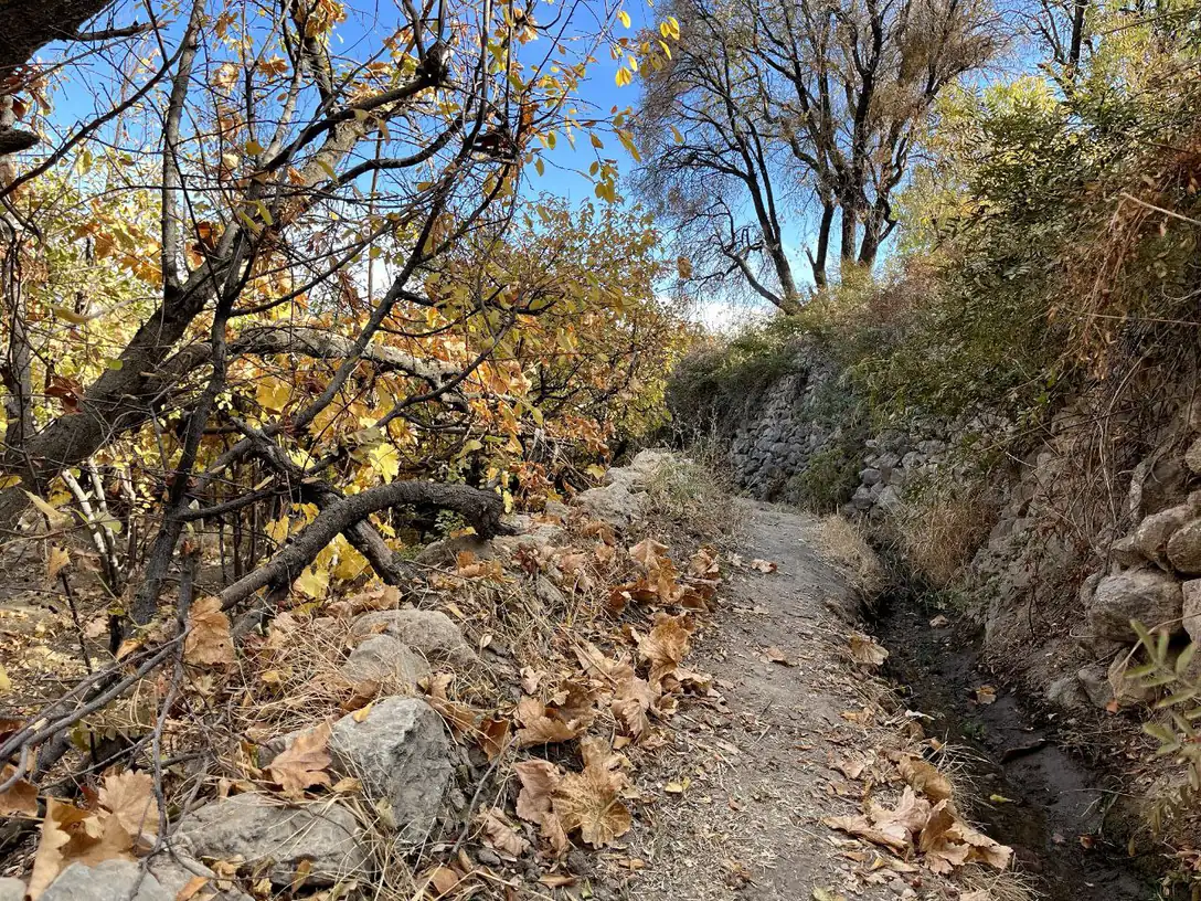 کوچه باغ — 11