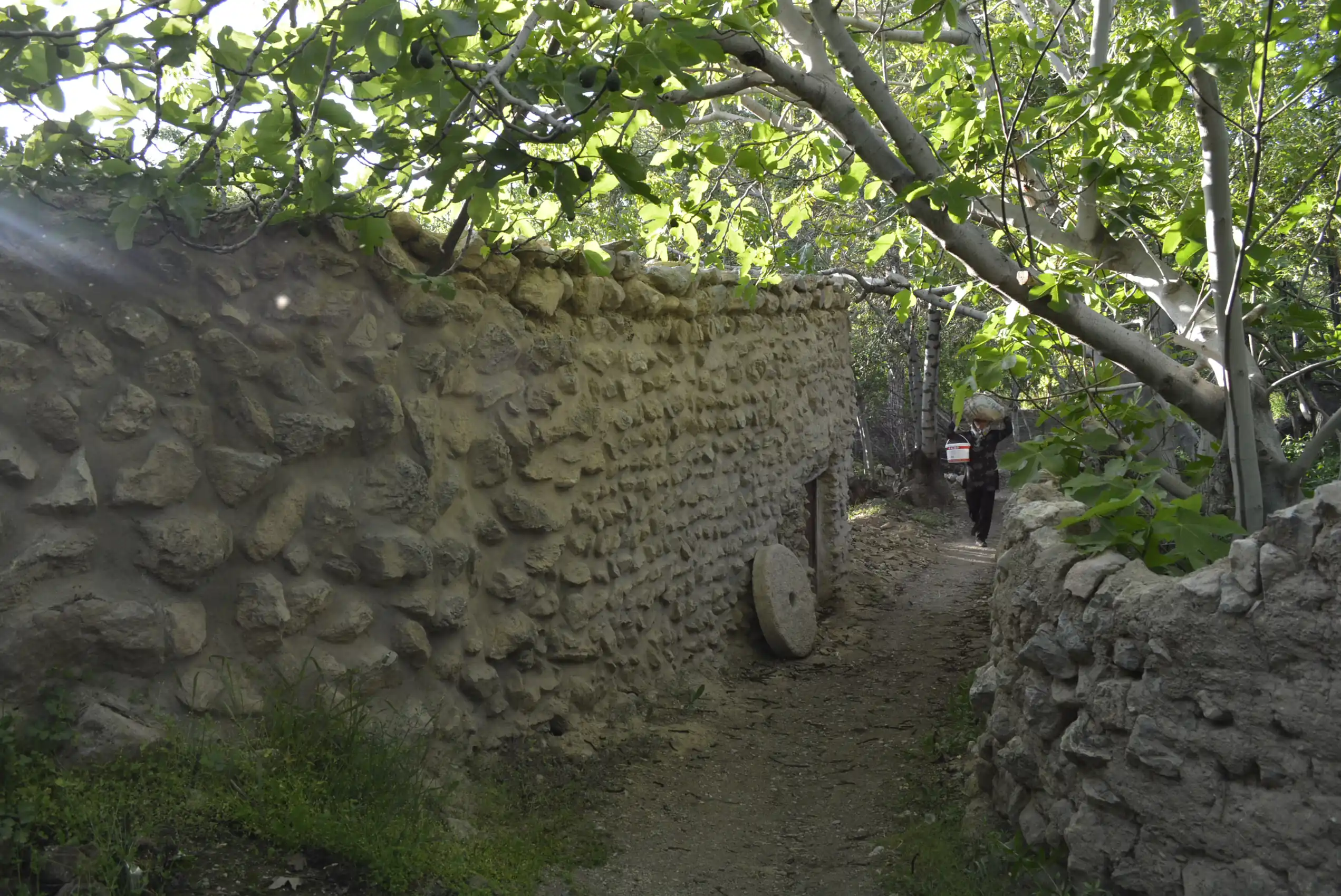 کوچه باغ — 12