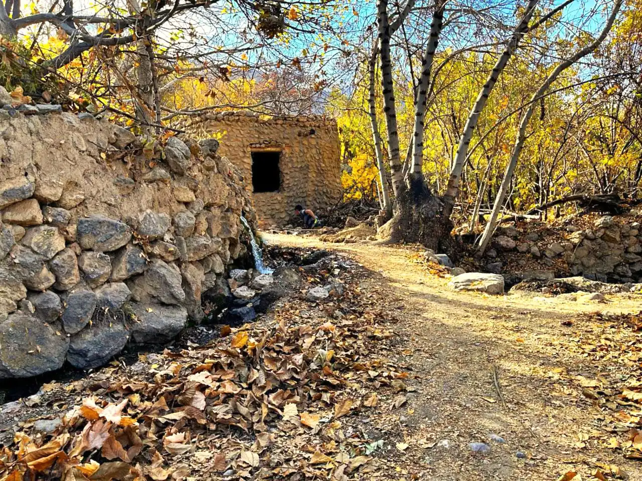 کوچه باغ — 13