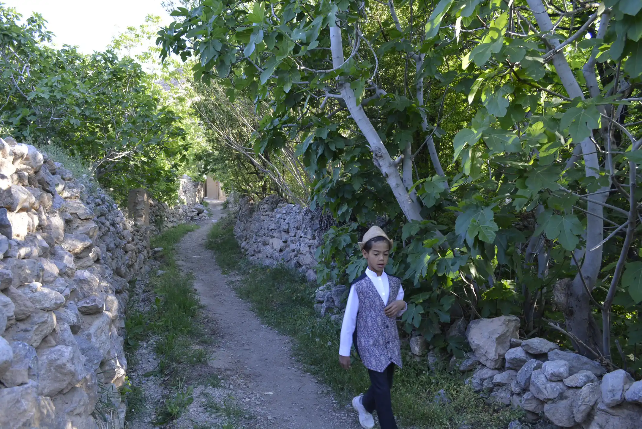 کوچه باغ — 14