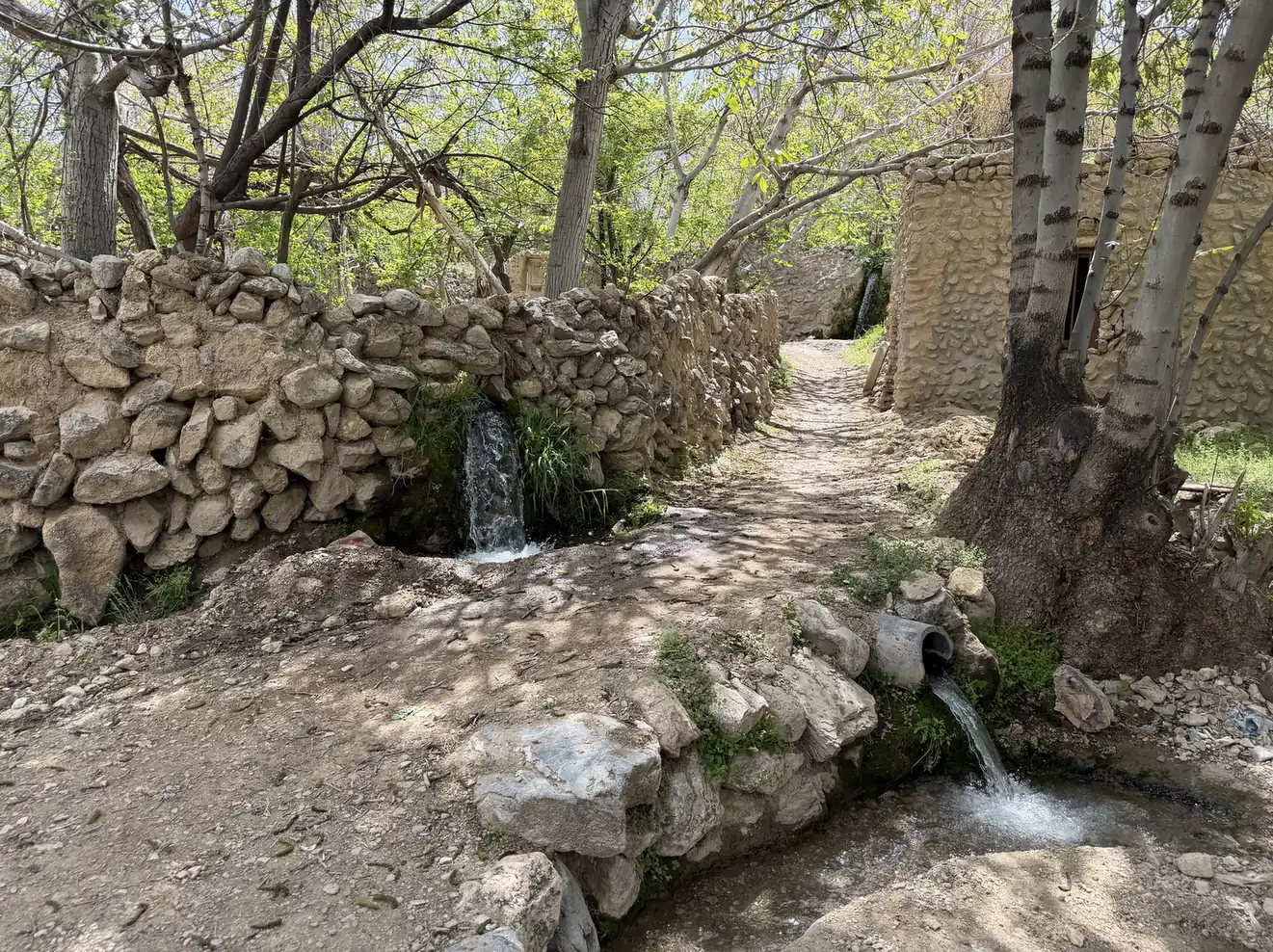 کوچه باغ — 15