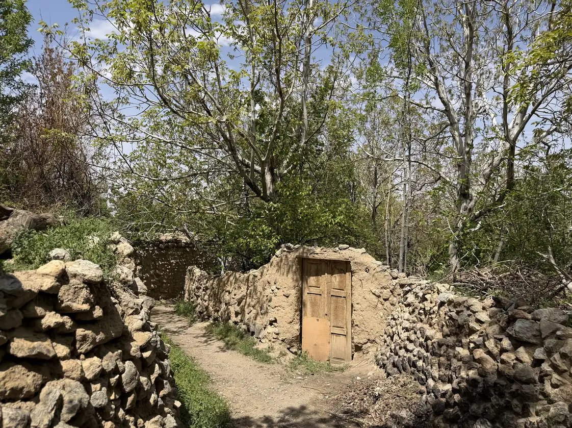 کوچه باغ — 16