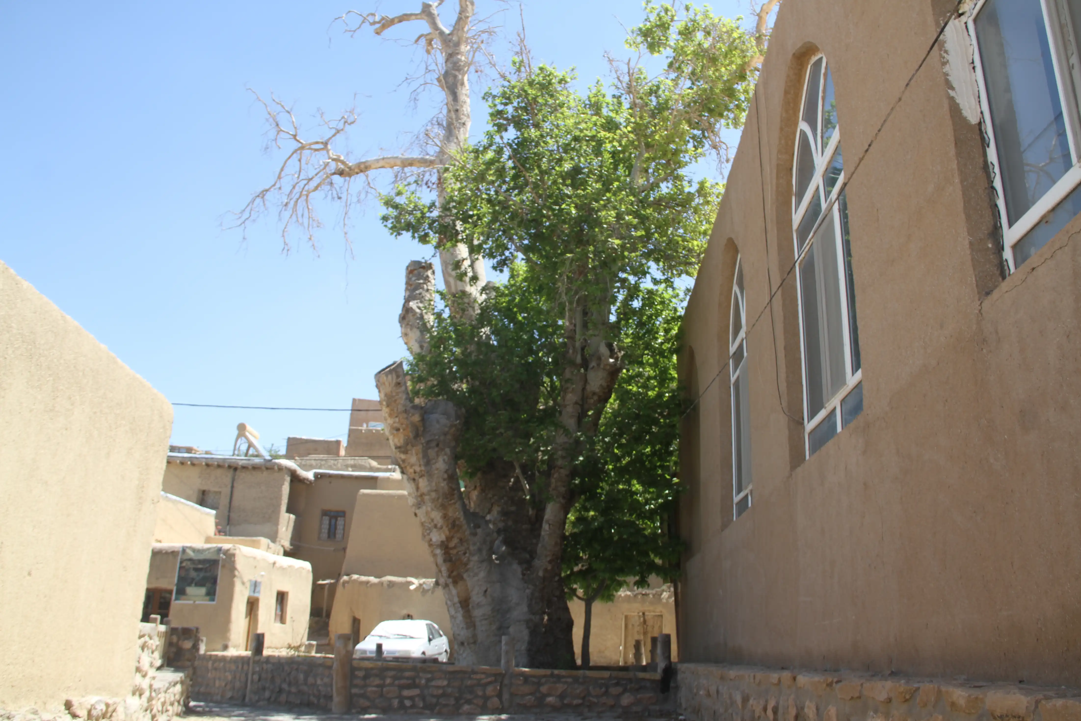 موزه — 19