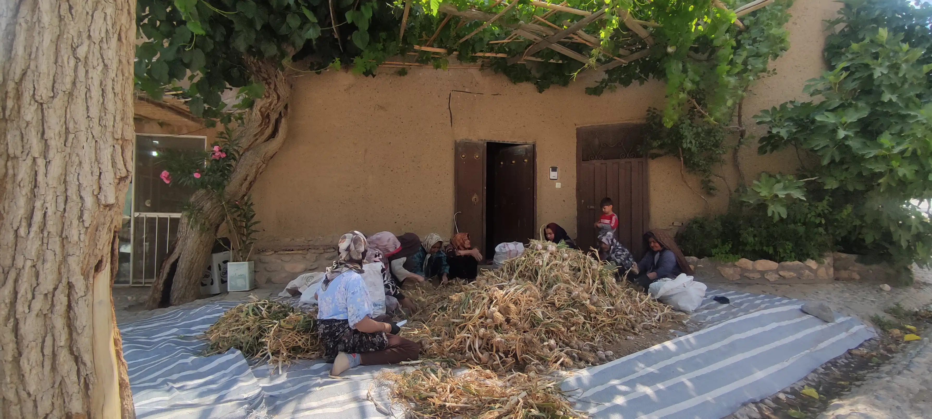 رویدادها — 3
